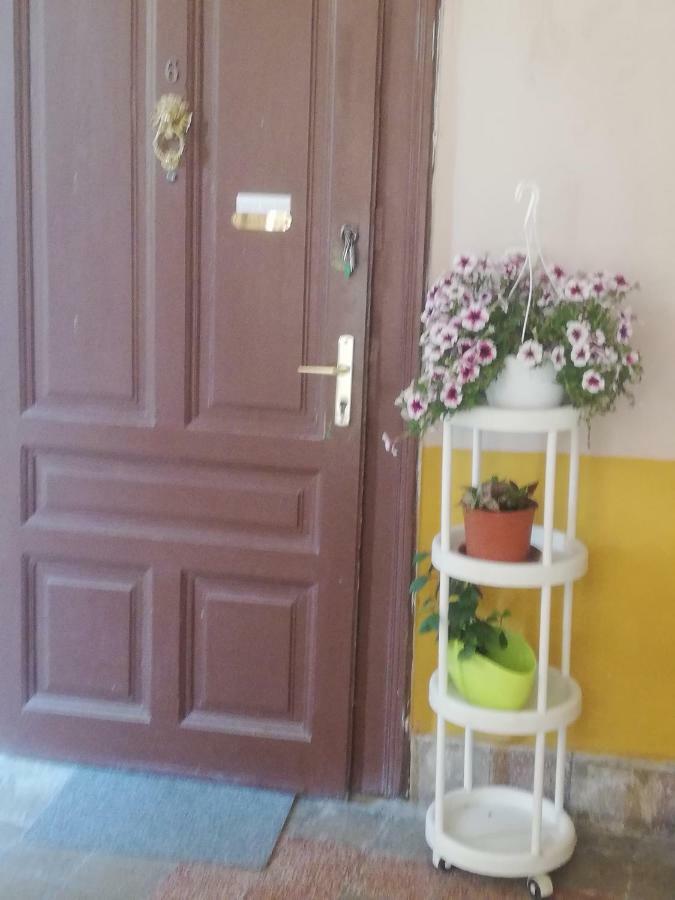 Galéria Apartman Szeged Exterior foto